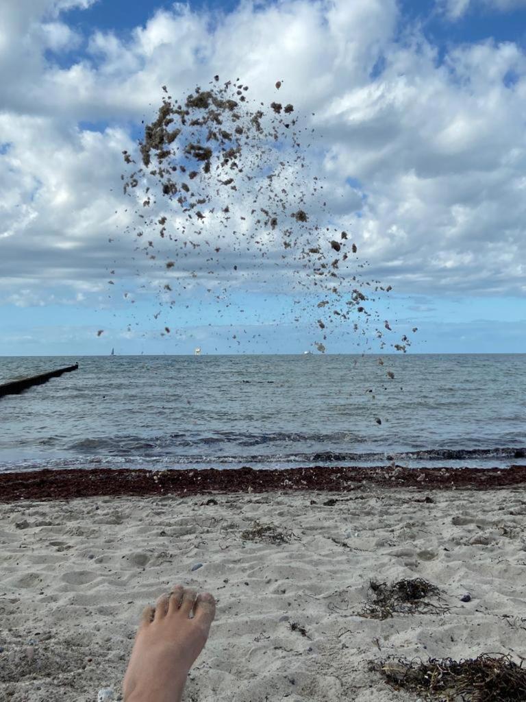 Ostsee-Ferienwohnung-Lipsia Ostseebad Nienhagen Exteriör bild